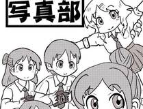 全知读者视角